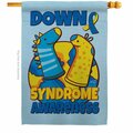 Patio Trasero 28 x 40 in. Down Syndrome Sock House Flag PA4072716